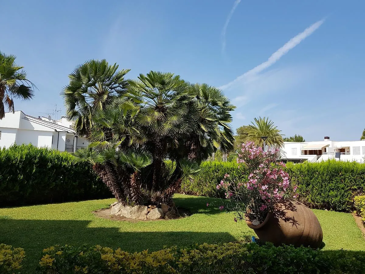 Venecia Apartments بورت ذالكوذيا